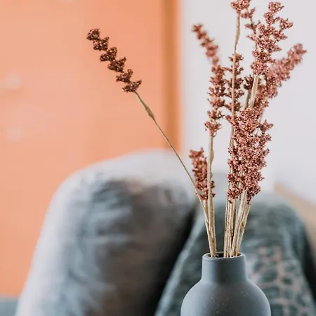 Pleasure Ii アパート *