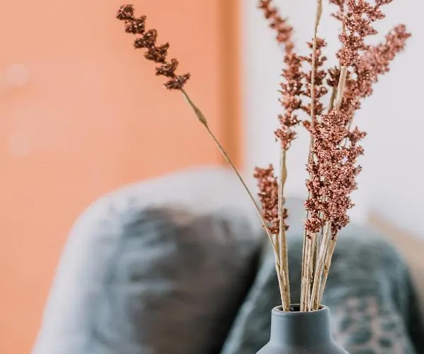 Pleasure Ii Apartamento *